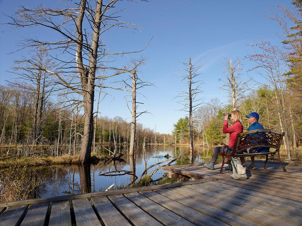 Hotel Taboo Muskoka Gravenhurst Esterno foto